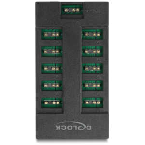 DELOCK RGB hub 64128 για ARGB LEDs, 10 θύρες, μαύρο - Image 4