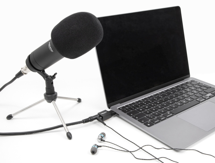 DELOCK εξωτερική κάρτα ήχου 67128, 2x 3.5mm, USB-C σύνδεση, μαύρη - Image 2