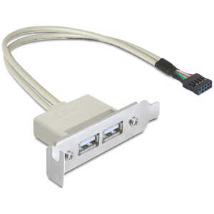 DELOCK κάρτα επέκτασης USB 9 pin σε 2x USB 2.0 83119, low profile
