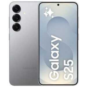 Samsung SM-S931B Galaxy S25 5G 12GB RAM 256GB Silver Shadow EU