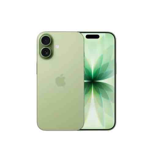Apple iPhone 17 256GB Sage EU MG6N4
